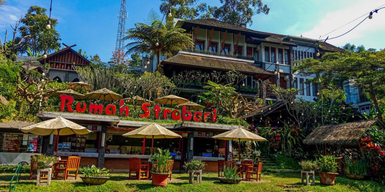 Rumah Stroberi Organic Farm & Family Lodge เล็มบัง ภายนอก รูปภาพ