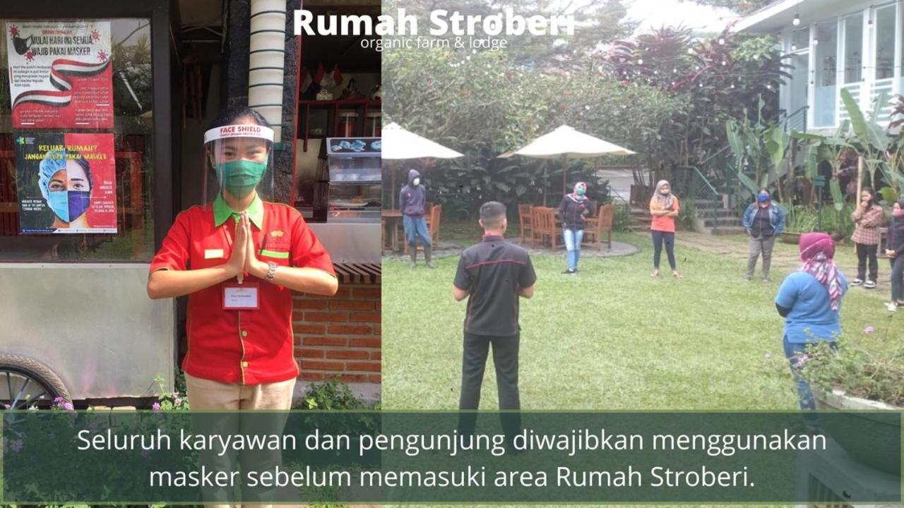 Rumah Stroberi Organic Farm & Family Lodge เล็มบัง ภายนอก รูปภาพ